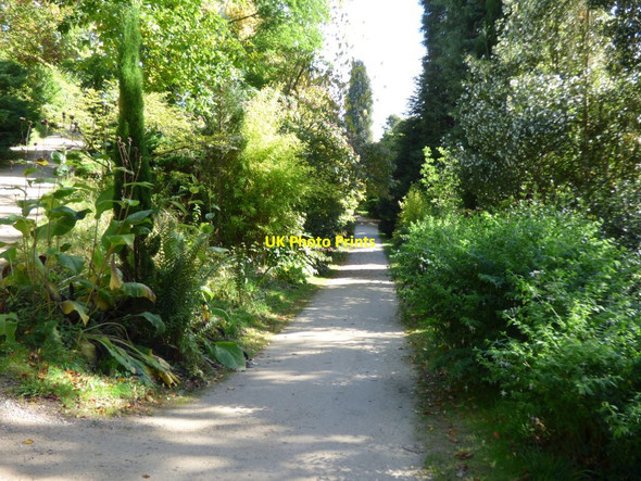 Photo 6"x4" Path to the Great Lawn Welshpool\/Y Trallwng c2016