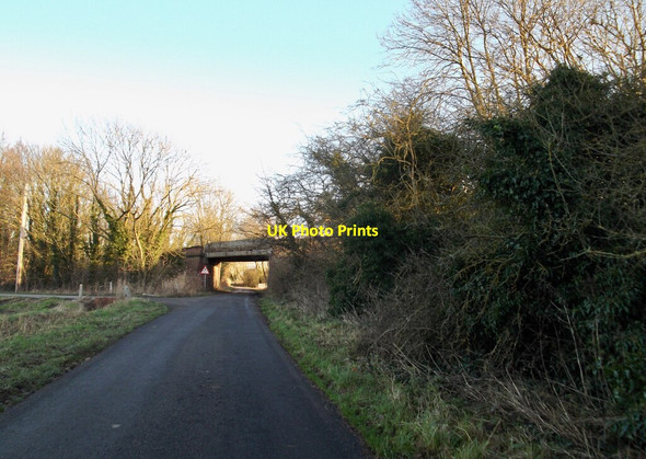 Photo 6"x4" Moorfields Lane Saltmarshe c2022