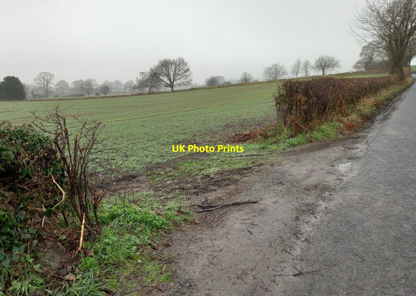 Photo 6"x4" Bilbrough, Cat Lane Bilbrough c2021