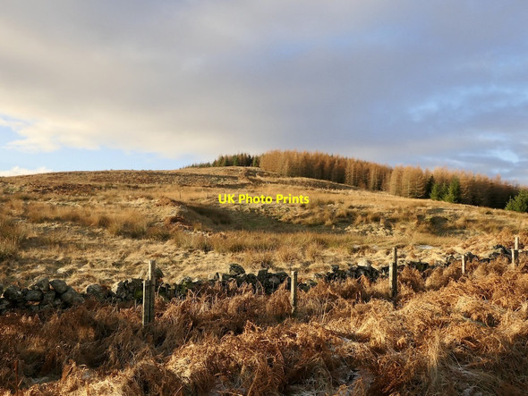 Photo 6"x4" Rough grazing, Frandy Frandy Fm c2022