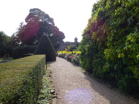 Photo 6"x4" View along the path to the Laundry Bronygarth c2016