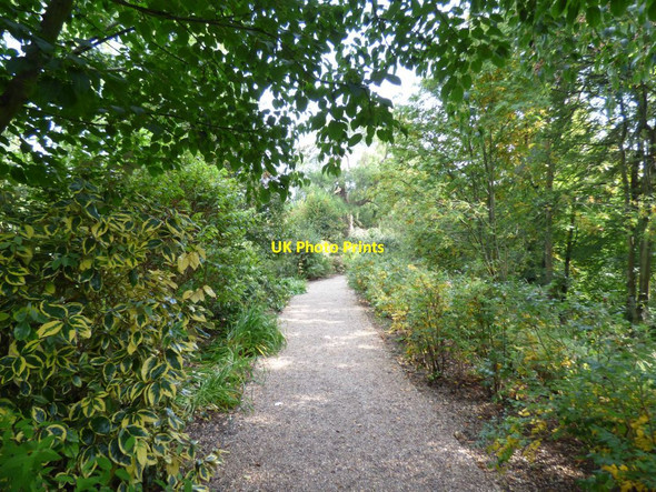 Photo 6"x4" Path along the edge of the garden Bronygarth c2016