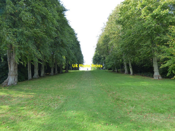 Photo 6"x4" View up the slope to Hercules Bronygarth c2016