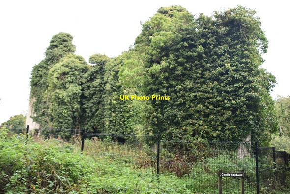 Photo 6"x4" Castle Caldwell Belleek c2021