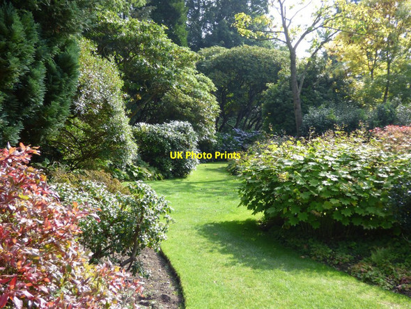Photo 6"x4" Grass path into the Shrub Border Bronygarth c2016