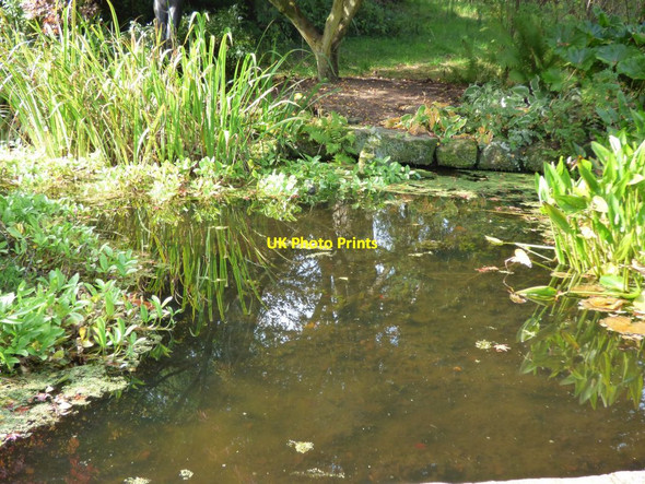 Photo 6"x4" The pool in the Shrub Border Bronygarth c2016