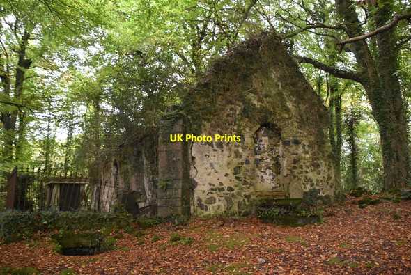Photo 6"x4" Ruined church, Castle Caldwell Belleek c2021