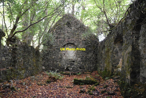 Photo 6"x4" Ruined church, Castle Caldwell Belleek c2021