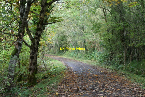 Photo 6"x4" Track, Castle Archdale Kesh\/H1863 c2021