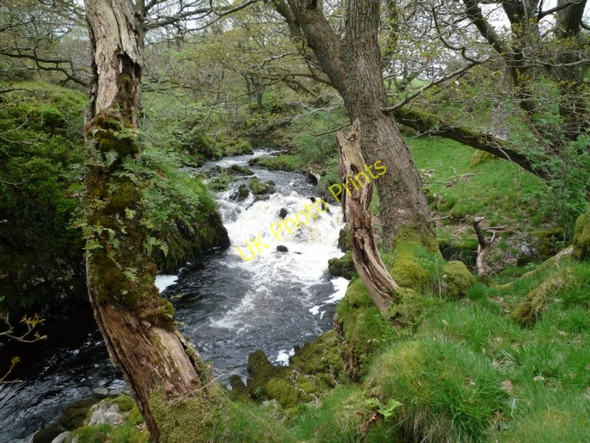 Photo 6"x4" Kirkconnell Linn (waterfall) Laurieston\/NX6864 c2009