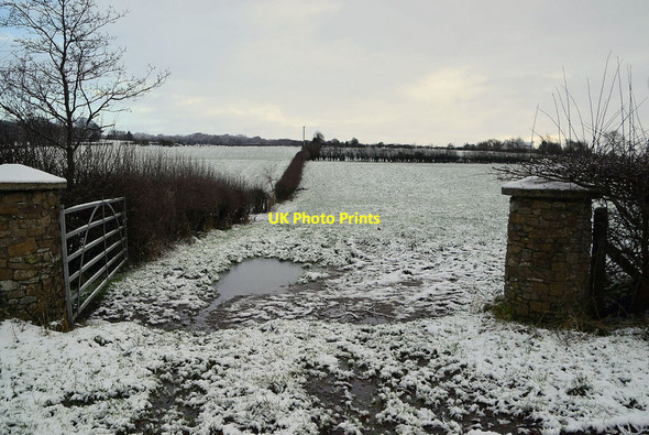 Photo 6"x4" Wintry at Mountjoy Forest East Division Mountjoy\/H4277 c2022