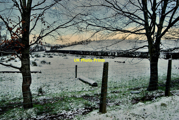 Photo 6"x4" Wintry at Mountjoy Forest East Division Mountjoy\/H4277 c2022