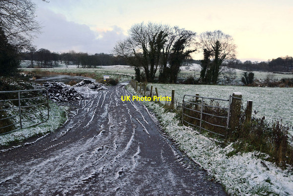 Photo 6"x4" Muddy lane, Mountjoy Forest East Mountjoy\/H4277 c2022