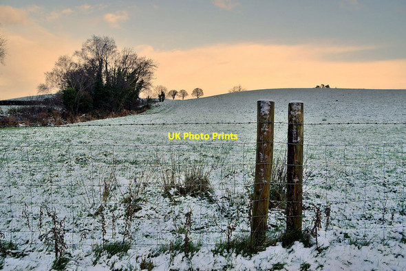 Photo 6"x4" Wintry at Mountjoy Forest East Mountjoy\/H4277 c2022