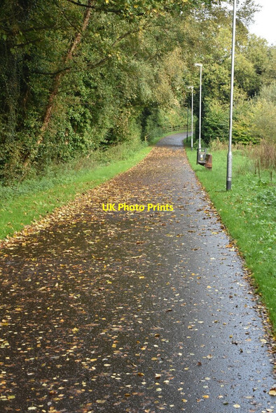 Photo 6"x4" Waterside Greenway Londonderry\/C4316 c2021 P1