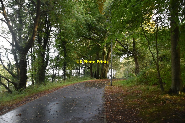 Photo 6"x4" Waterside Greenway Londonderry\/C4316 c2021 P2