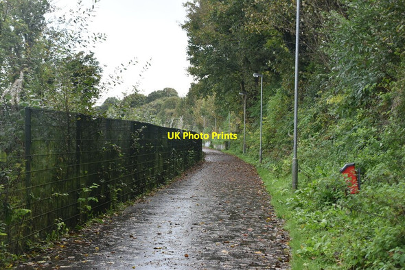 Photo 6"x4" Waterside Greenway Londonderry\/C4316 c2021 P1