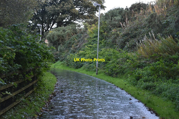 Photo 6"x4" Waterside Greenway Londonderry\/C4316 c2021 P3