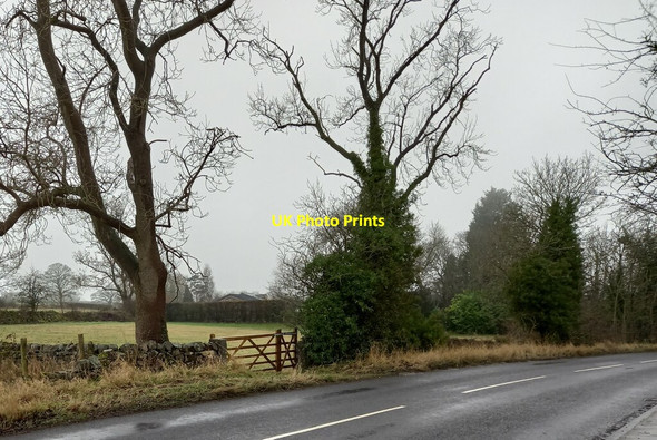 Photo 6"x4" Hampsthwaite, Hollins Lane Hampsthwaite c2021