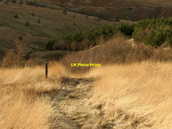 Photo 6"x4" Path and waymark, Ben Shee Frandy Fm c2022