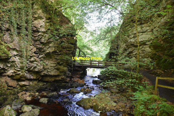 Photo 6"x4" Golspie Burn Gorge Backies\/NC8302 c2021