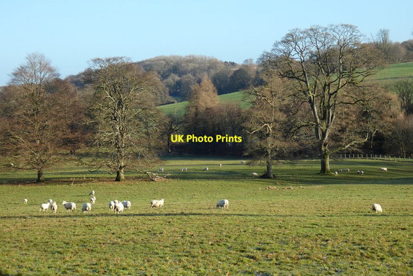 Photo 6"x4" Parkland, East Tisted East Tisted c2022