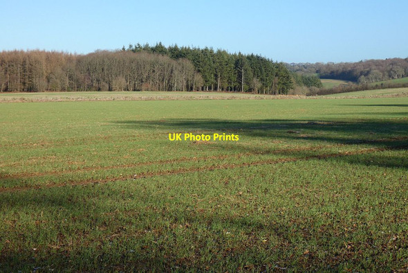 Photo 6"x4" Farmland, East Tisted Charlwood\/SU6731 c2022
