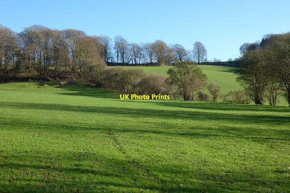 Photo 6"x4" Pasture, Ropley Gilbert Street c2022