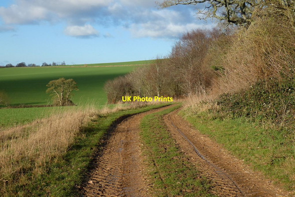 Photo 6"x4" Track and farmland, West Tisted West Tisted c2022