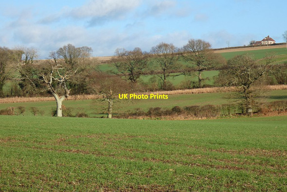 Photo 6"x4" Farmland, West Meon West Meon Woodlands c2022