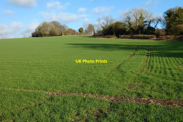 Photo 6"x4" Farmland, West Meon Bailey Green c2022