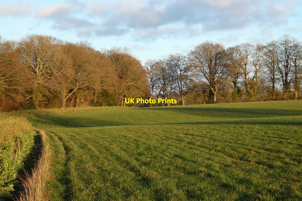 Photo 6"x4" Farmland, West Tisted Bailey Green c2022