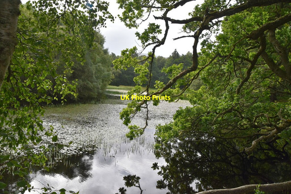 Photo 6"x4" Small lake Backies\/NC8302 c2021