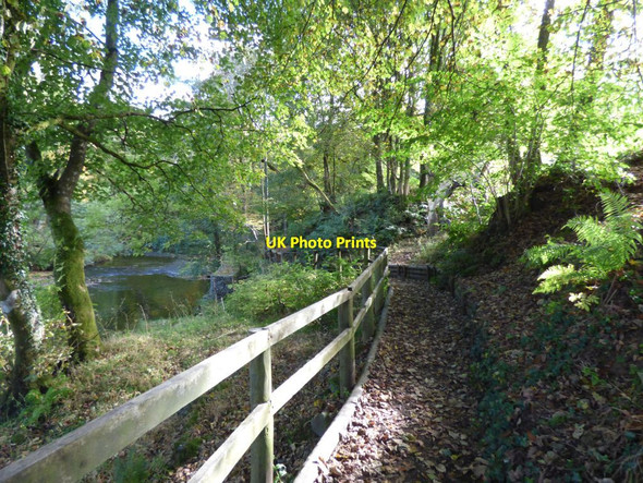 Photo 6"x4" Path along the side of the River Vyrnwy Llanwddyn c2016