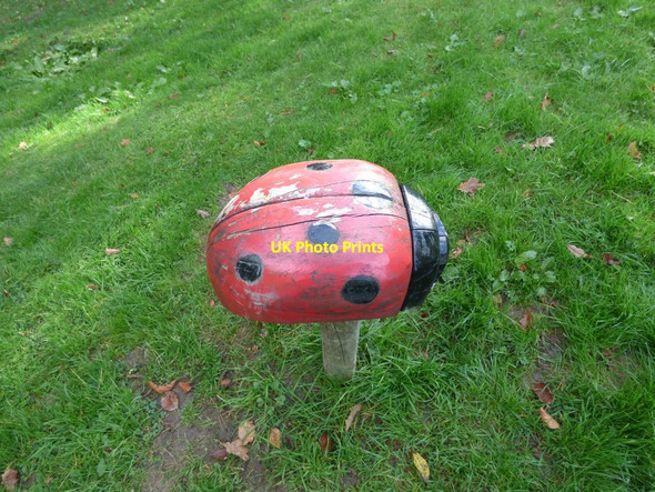 Photo 6"x4" Ladybird carving Llanwddyn c2016