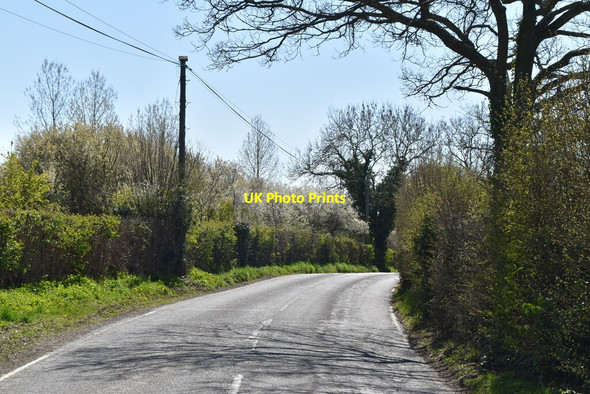 Photo 6"x4" Bones Lane Horne c2021