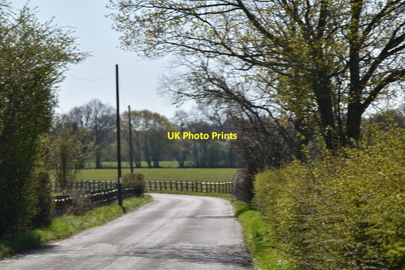 Photo 6"x4" Bones Lane Horne c2021