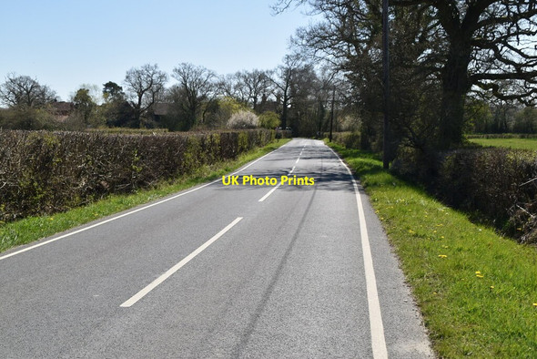 Photo 6"x4" Bones Lane Domewood c2021
