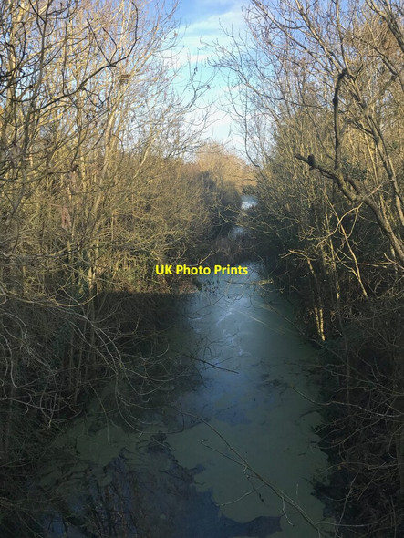 Photo 6"x4" Disused railway - northwards Flecknoe c2022