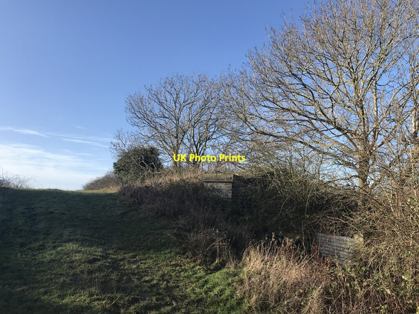 Photo 6"x4" Railway bridge buttresses Nethercote\/SP5164 c2022