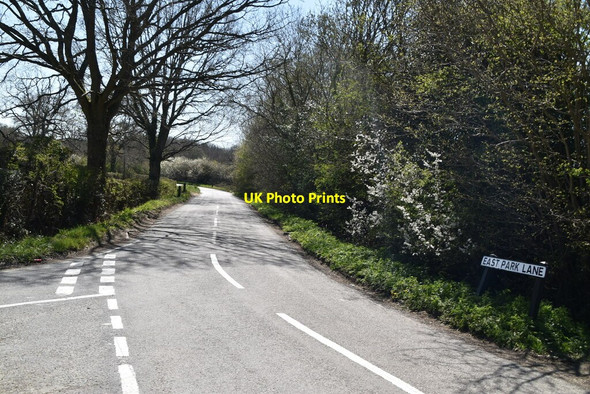 Photo 6"x4" East Park Lane Newchapel\/TQ3642 c2021