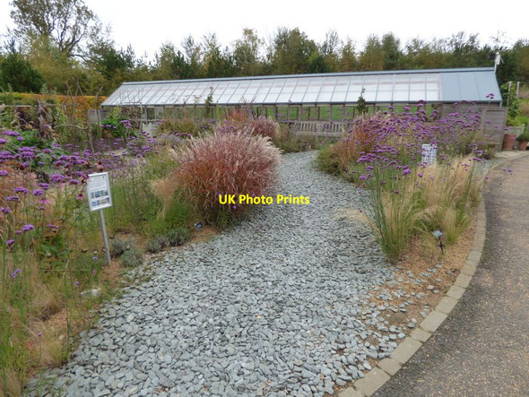Photo 6"x4" Part of the Teaching Garden Harrogate c2016