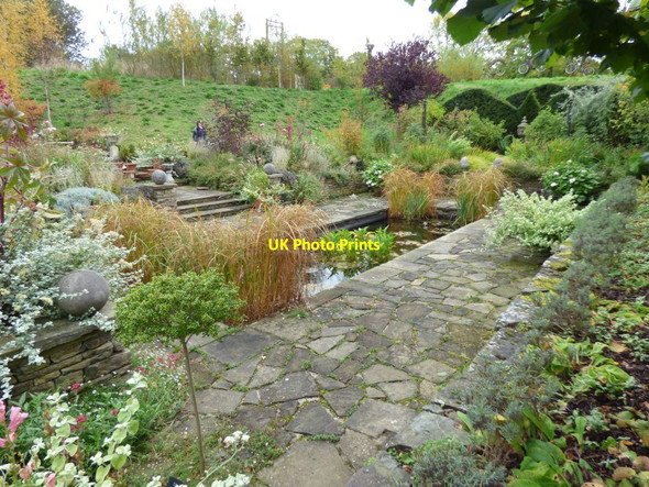 Photo 6"x4" Lily pond Harrogate c2016