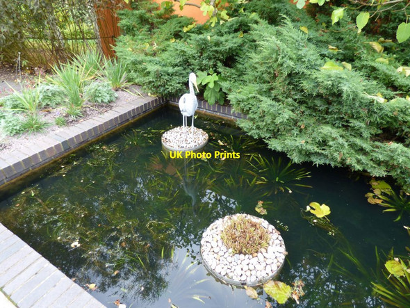 Photo 6"x4" Lily pond details Harrogate c2016