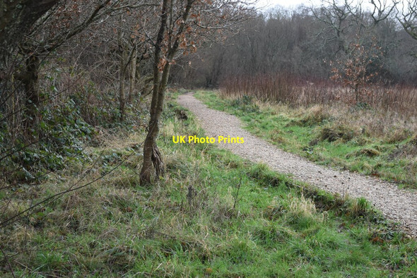 Photo 6"x4" Path at Woolslope Farm Trickett's Cross c2022