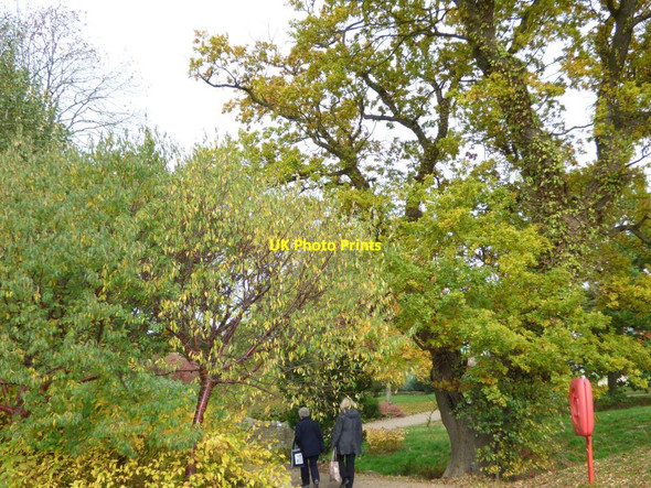 Photo 6"x4" Paths through the garden Harrogate c2016