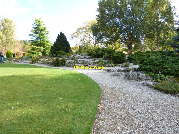 Photo 6"x4" The rock garden Harlow Carr c2016