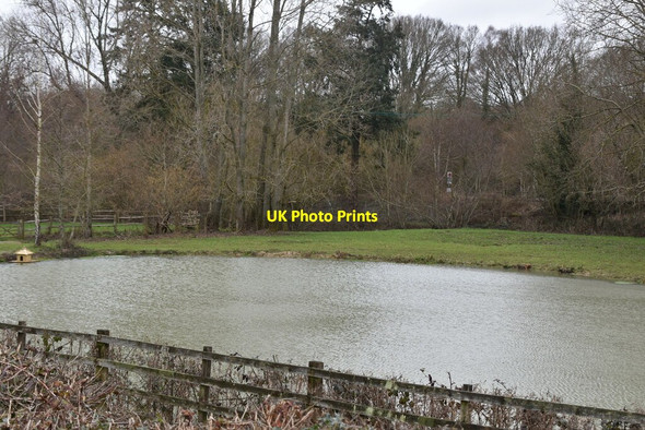 Photo 6"x4" Pond by Forge Rd Eridge Green c2021