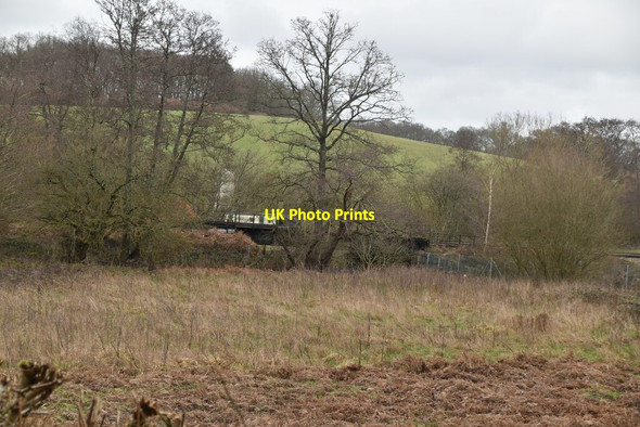 Photo 6"x4" Oxted Line Birchden c2021