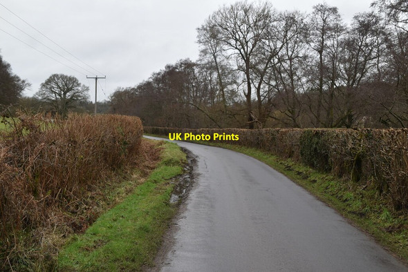 Photo 6"x4" Forge Rd Birchden c2021